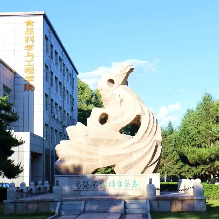 如何通过传球训练增强团队默契?_2